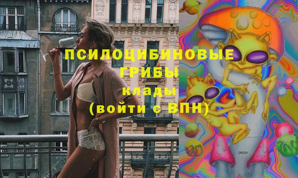 дживик Алзамай